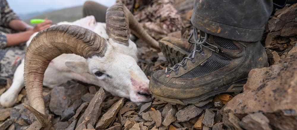 Mountain Hunting Boots