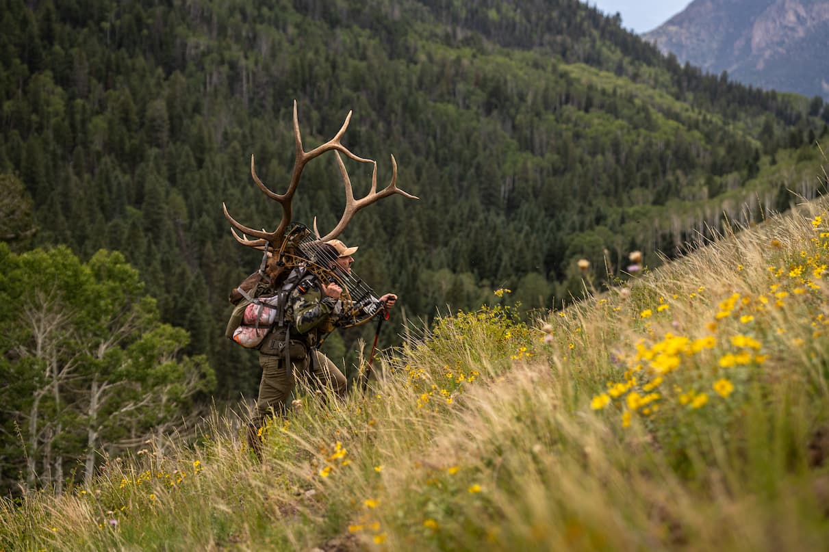 Elk Calling Tips and Tricks