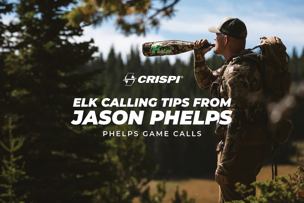Elk Calling Tips and Tricks