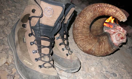 Boots and Horn