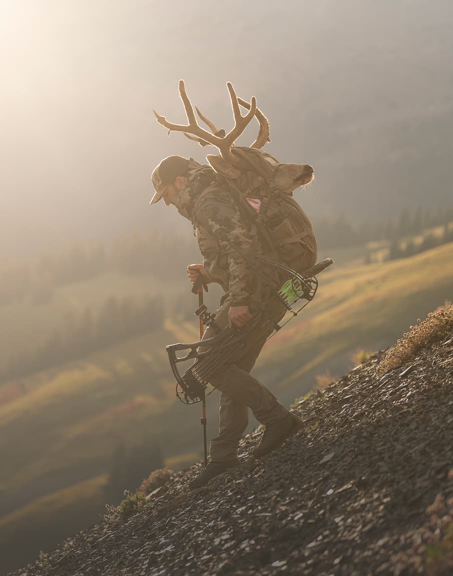 Early Season