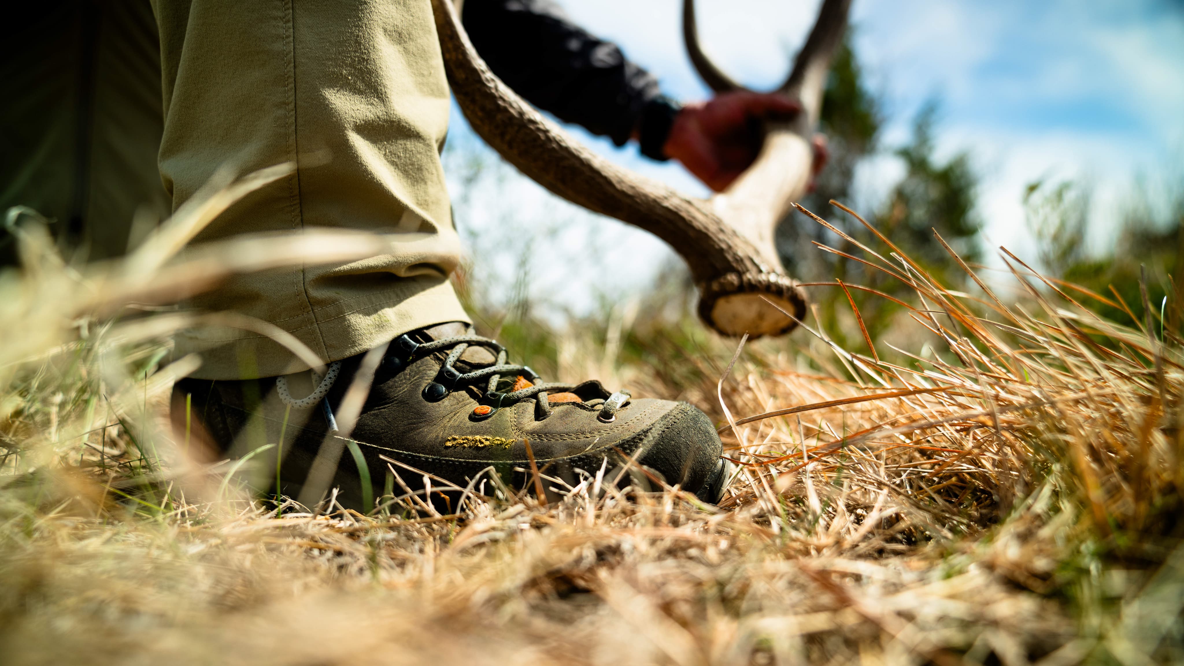 Men's Early Season