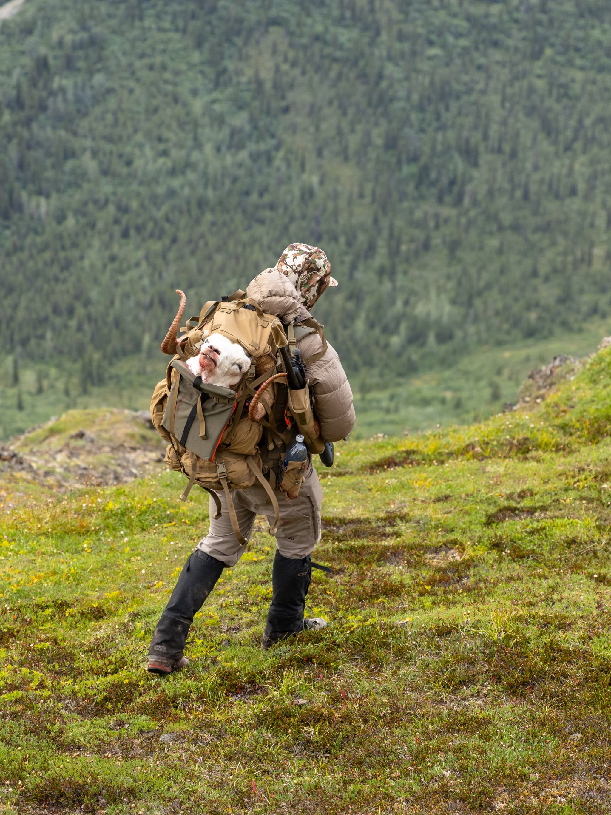 employment_page_mobile_header