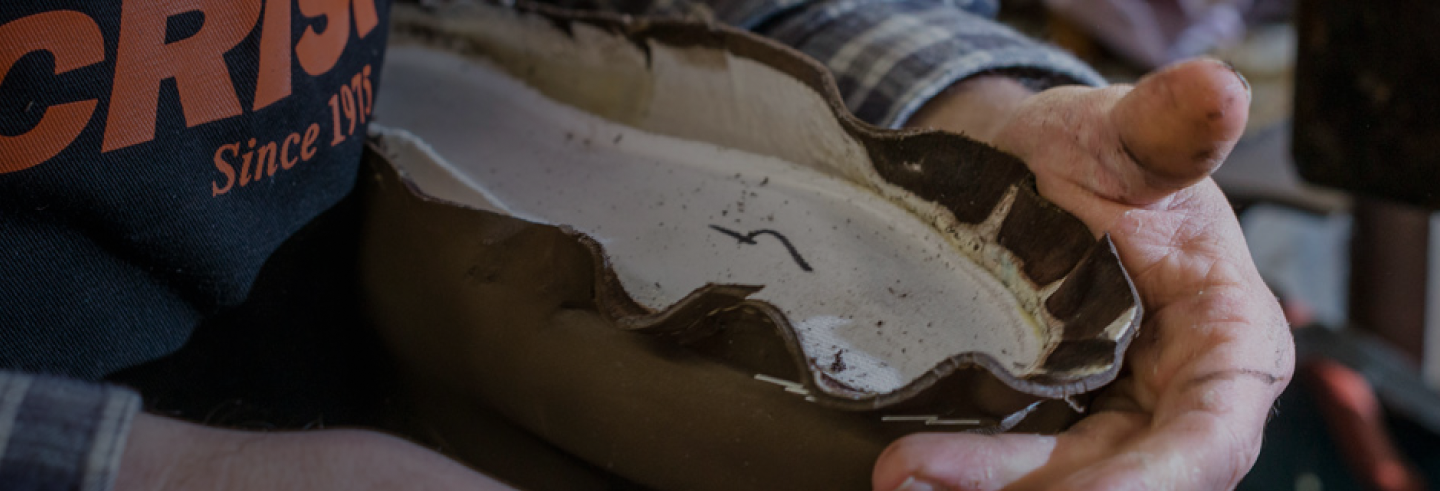banner_3_