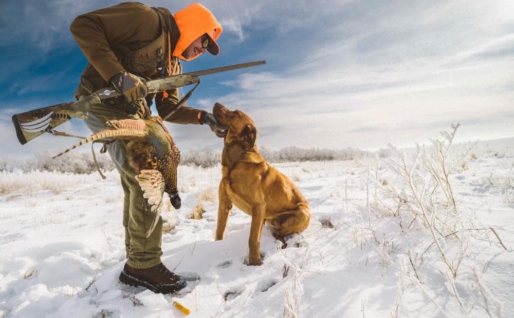 Bird Hunting Boots