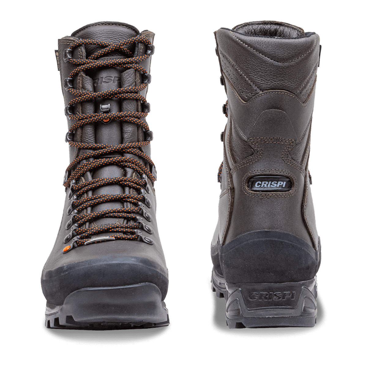 Wild Rock 400 EFX 3