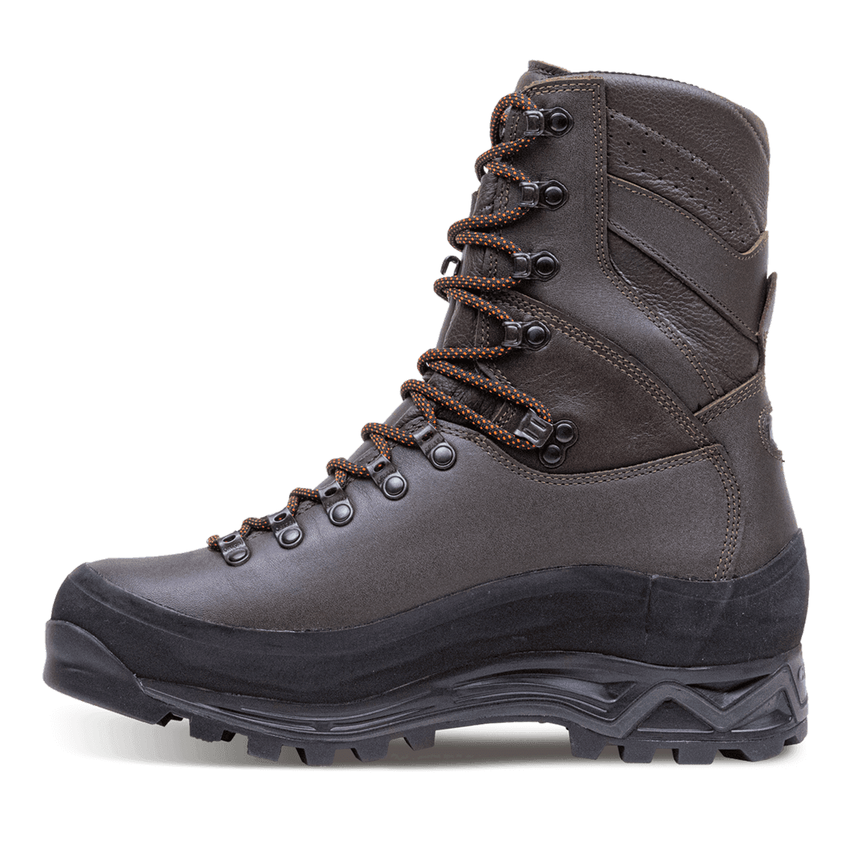 Wild Rock 400 EFX 2