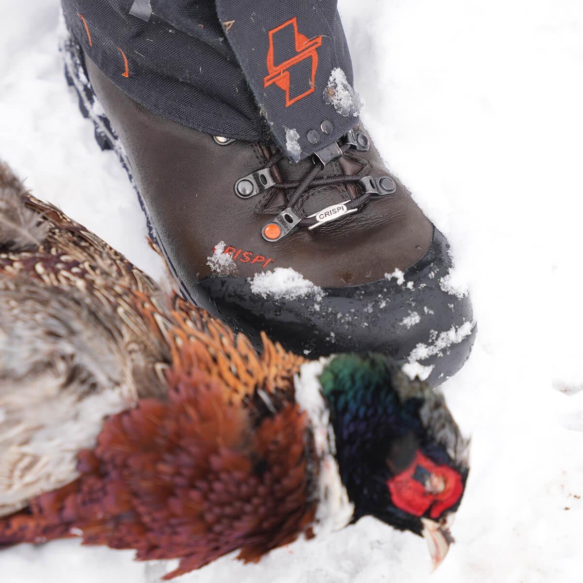 Upland Pro 6