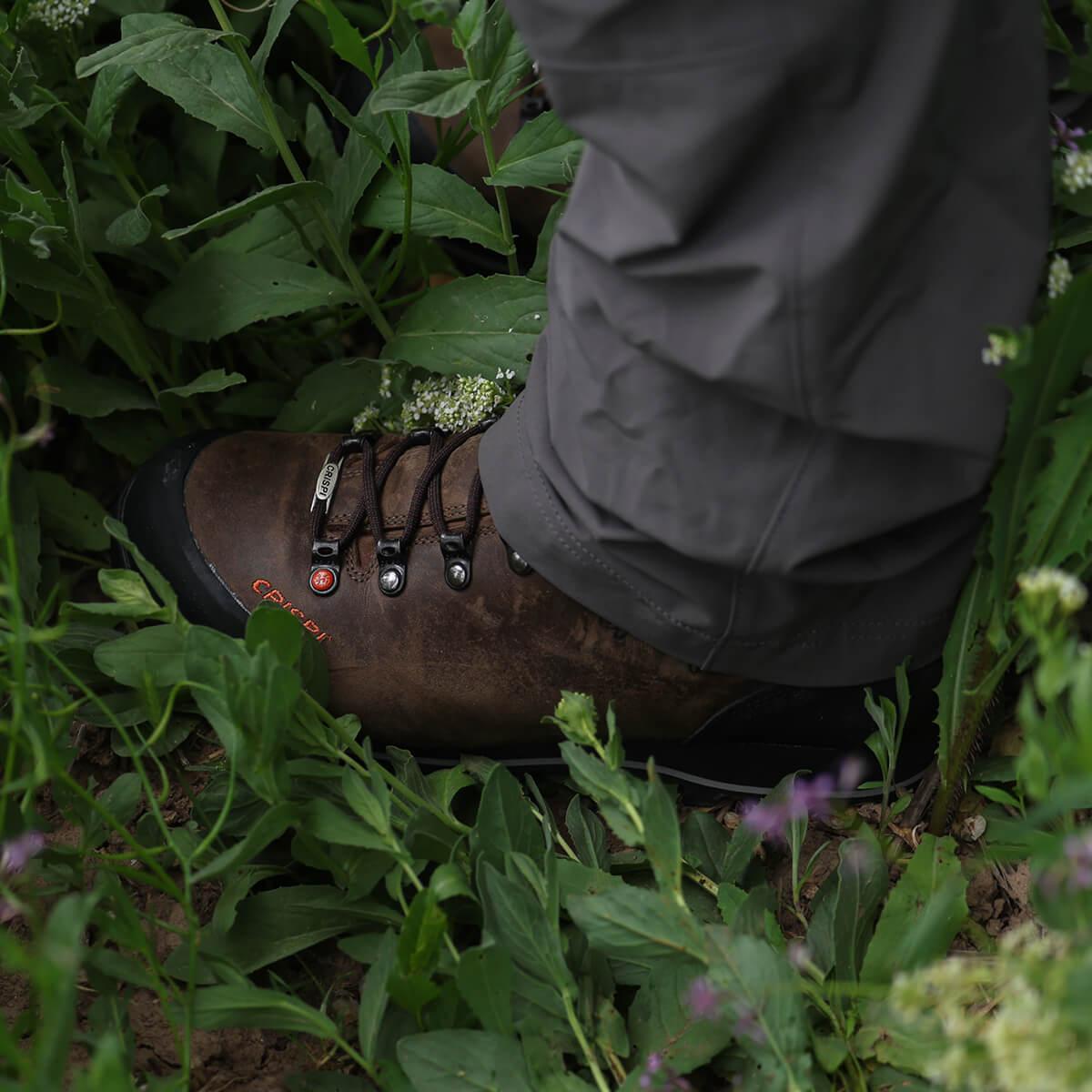 Upland Pro 5