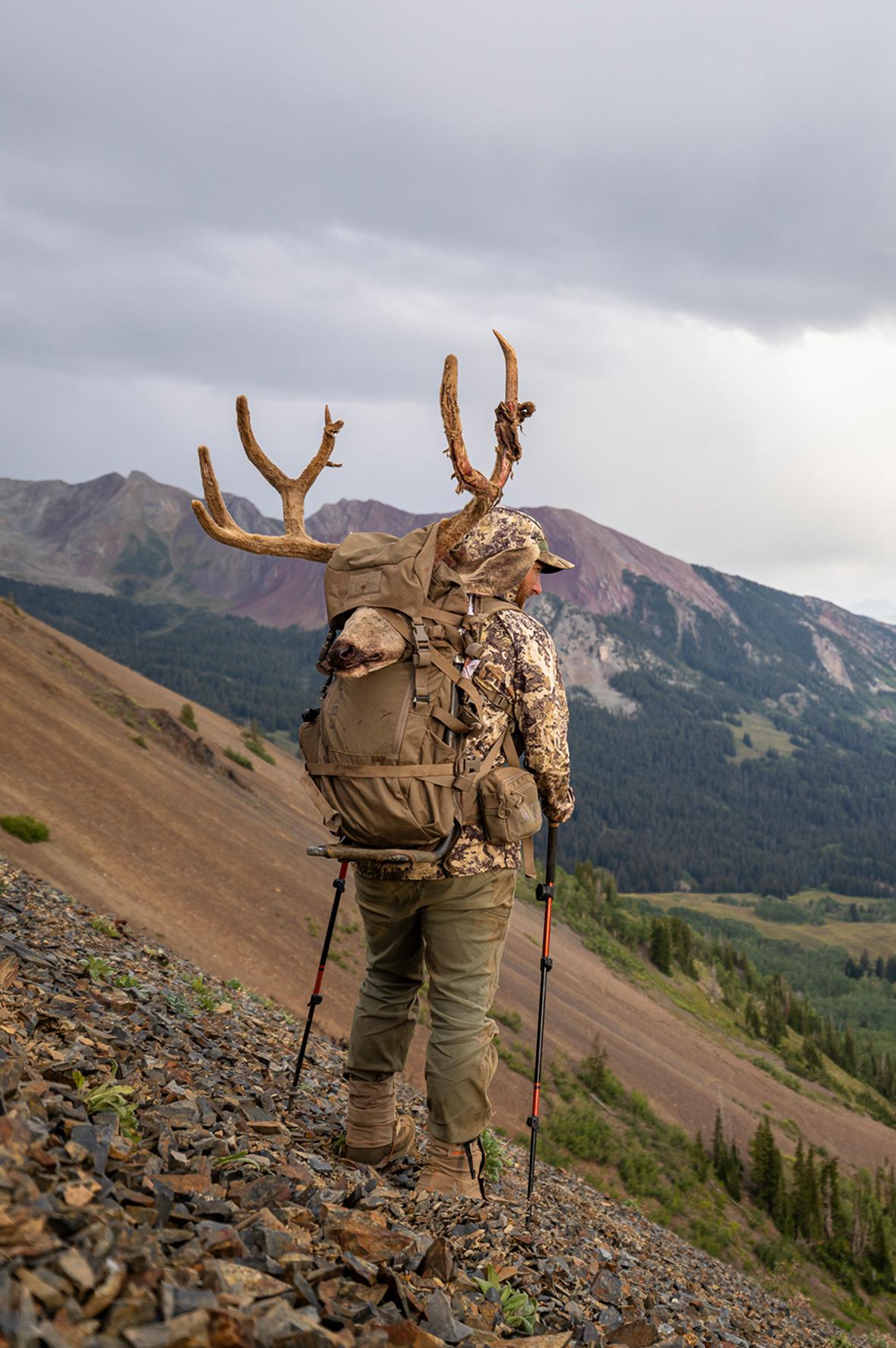 Bugling Elk