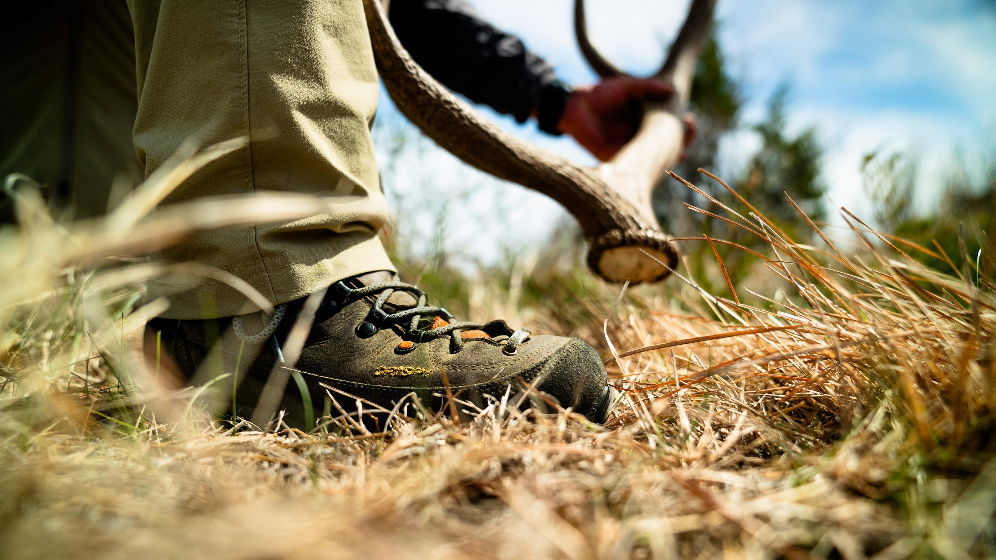 Men's Early Season